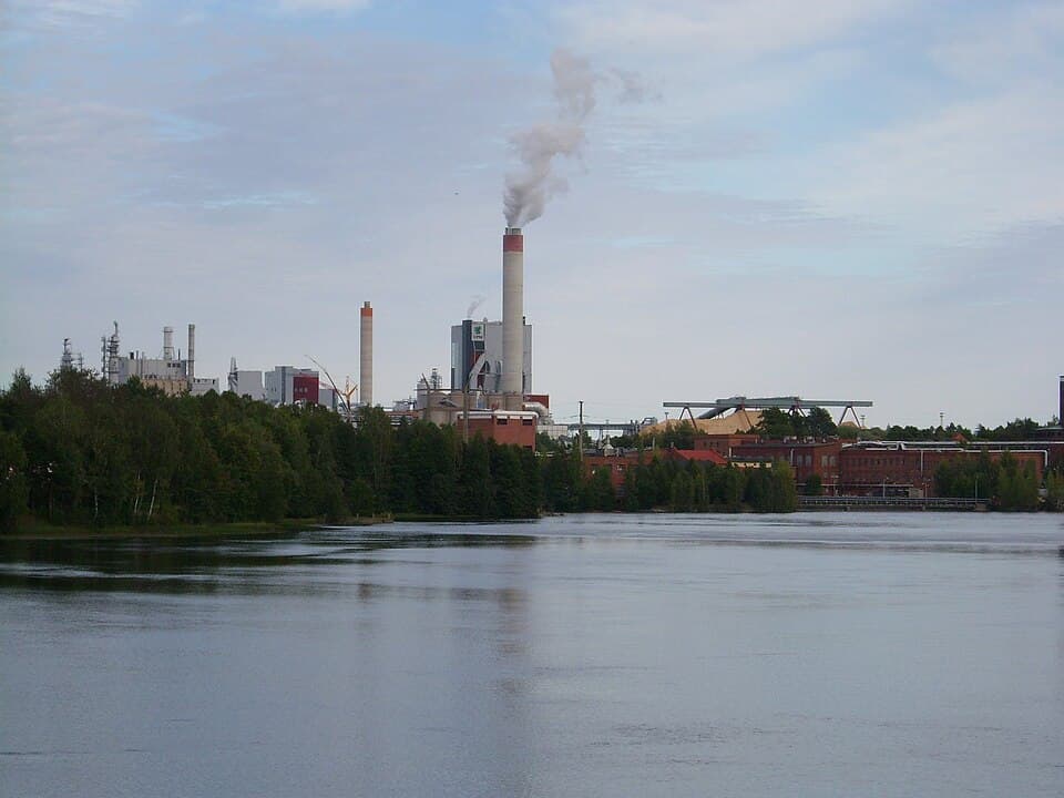 Paper & Pulp
